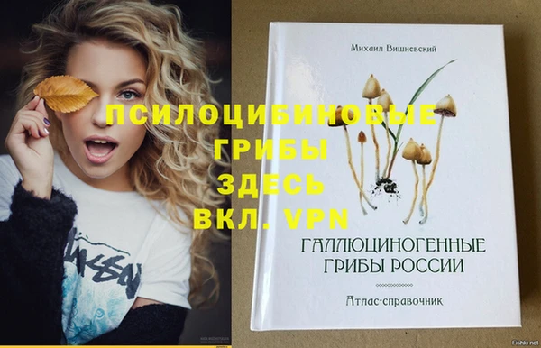 mdpv Алексеевка