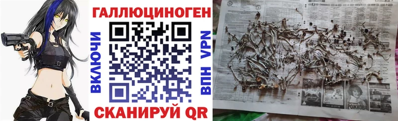 Галлюциногенные грибы GOLDEN TEACHER купить наркотики цена Татарск